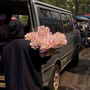 各种高潮超清特写tv
