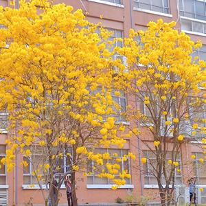 各种高潮超清特写tv
